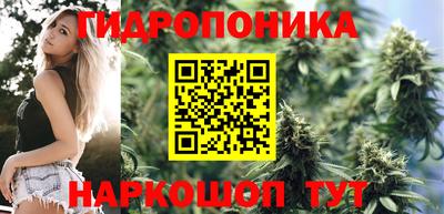 гашик Волгодонск