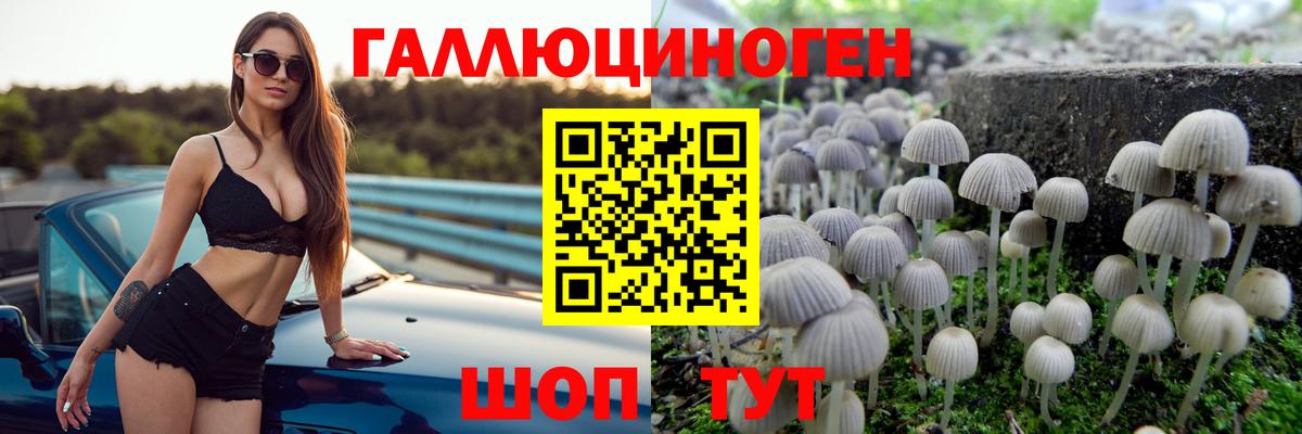 Батайск  Псилоцибиновые грибы мухоморы  Псилоцибиновые грибы Psilocybine cubensis  купить  сайты  Вход с VPN 